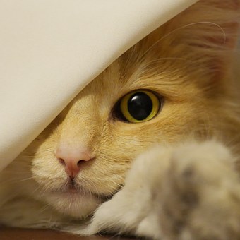 http://pythonabc.org/images/pABCArticles/3.5.5.1.jpg